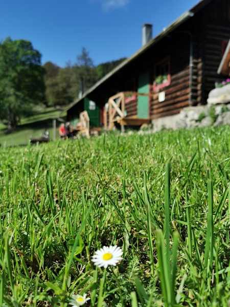 Kleinzeller Hinteralm