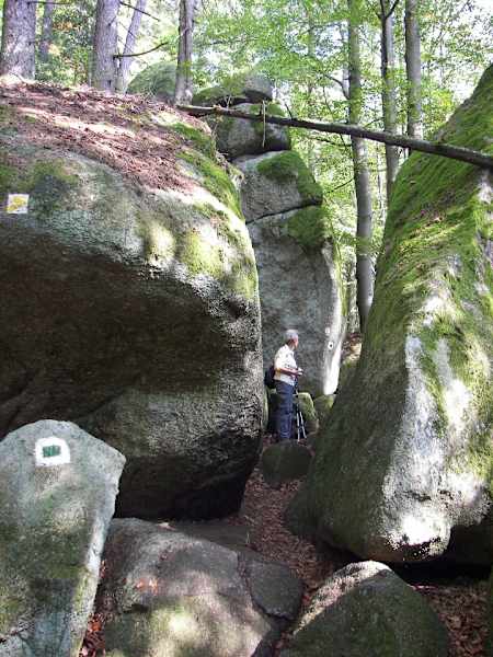 Höllbachtal
