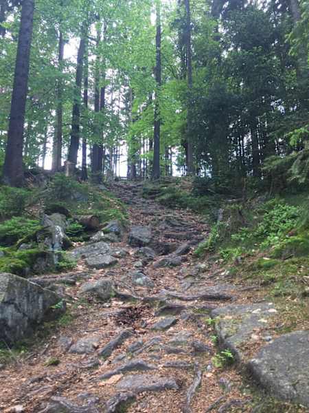 Trail Richtung Püttnerfels