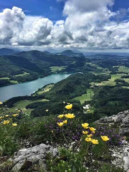 Aussicht vom Frauenkopf auf den Fuschlsee