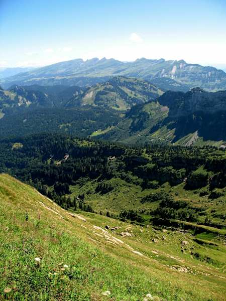 Panorama