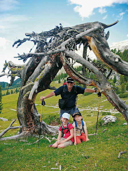Natur-Skulptur am Rückweg zur Plätzwiesenhütte.