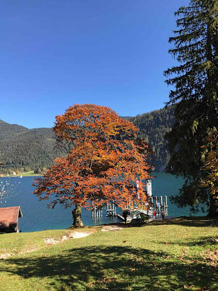 Die Anlegestelle des Schiffes ist nur wenige Schritte von der Alm entfernt.
