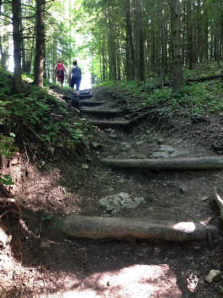 Aufstieg zur Ruine Wartenfels