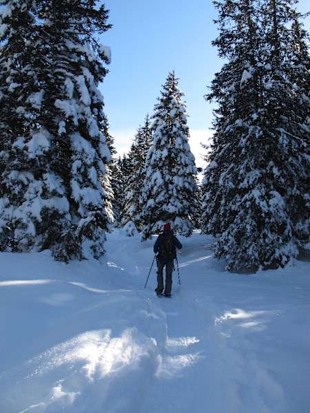 Wintermärchen am Monte Sous