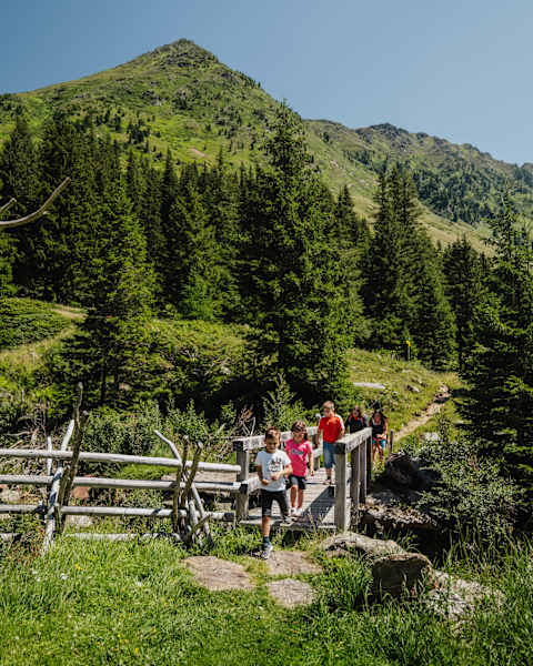 Familienwanderung Eselsberger Almerlebnisrunde