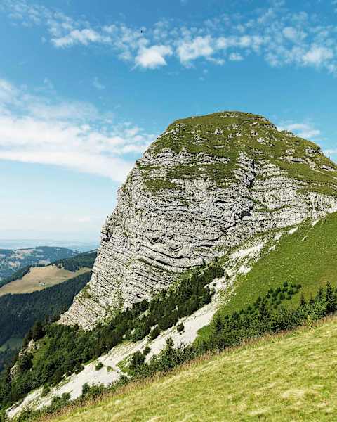 Dent De Jaman
