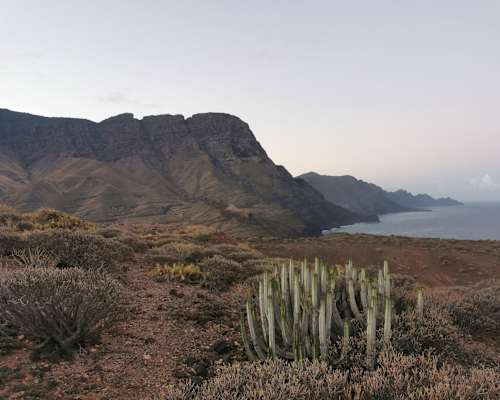Weitwandern GR 131 Gran Canaria Christine Thürmer