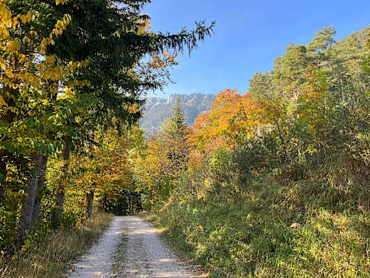 Herbstwanderung auf die Rax