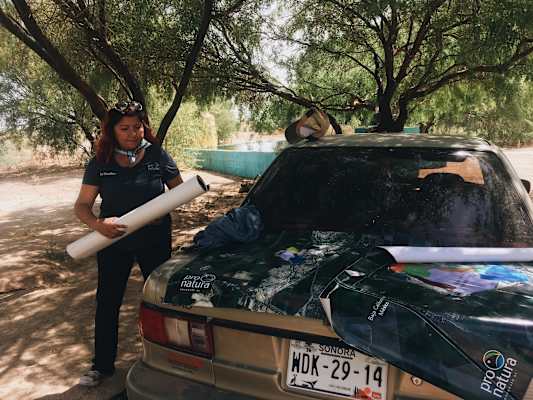 Ana Zirner Colorado River