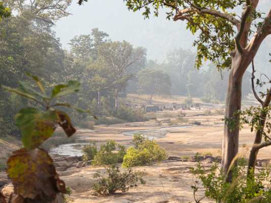 Indien Trekking Madhya Pradesh