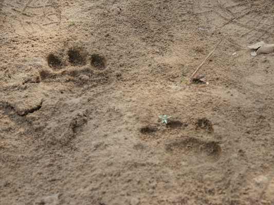 Indien Trekking Madhya Pradesh