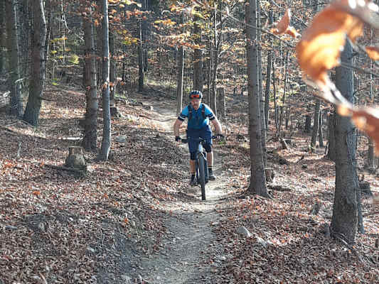 Burgenland-Trails