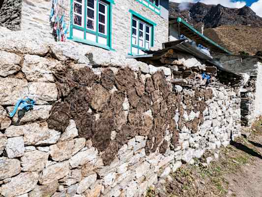 Nepal Kuh- und Yakfladen