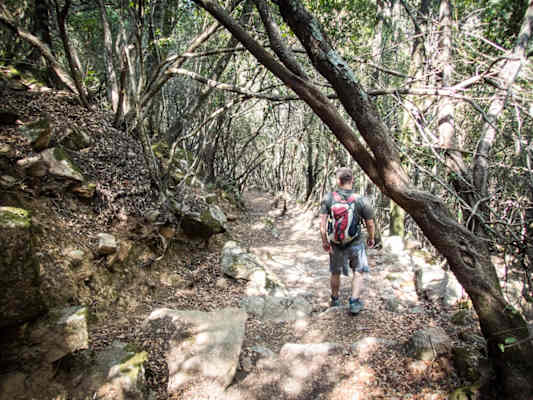 Sardinien Oridda Schlucht