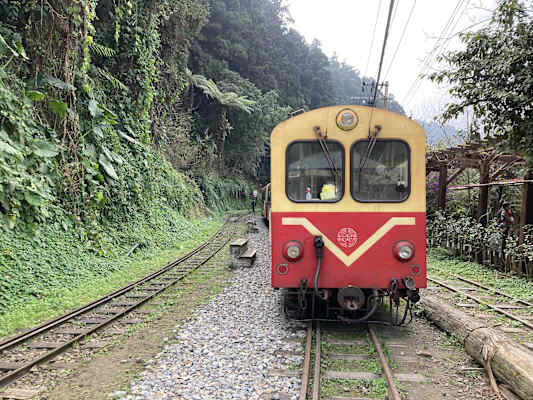 Taiwan Yushan Wandern
