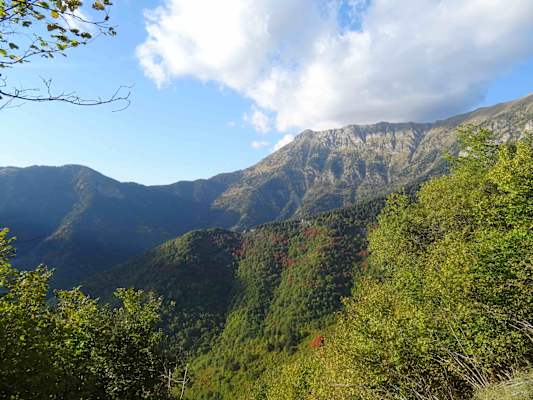 Artenreiche Vegetation und tolle Berge