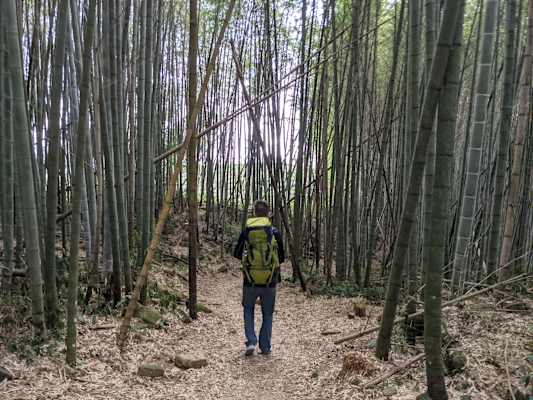 Taiwan Yushan Wandern