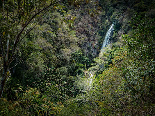 Reisestory Ecuador Intag Valley