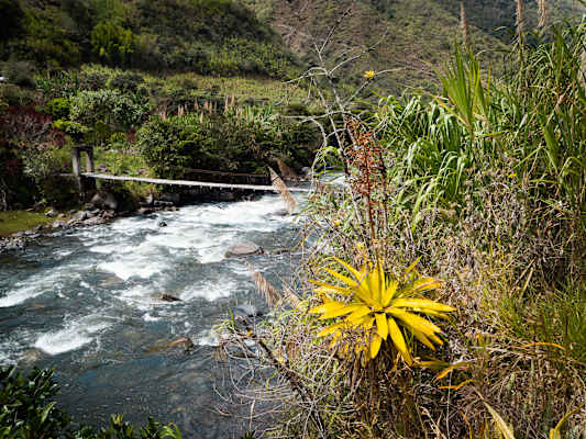 Reisestory Ecuador Intag Valley