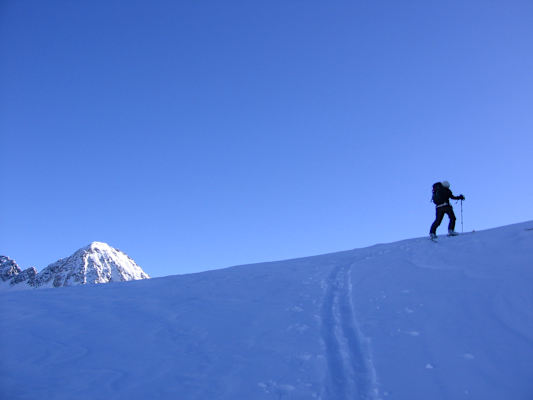 Bratschenkopf