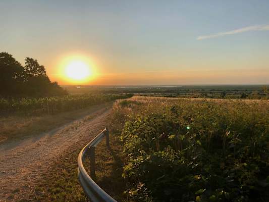 Burgenland Extrem Sommer 2021