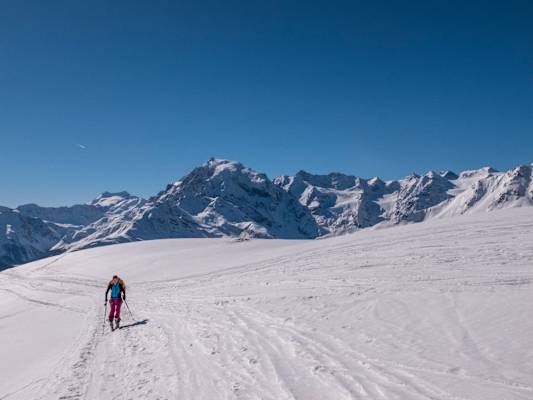 Pulver- & Firntraum im Vinschgau