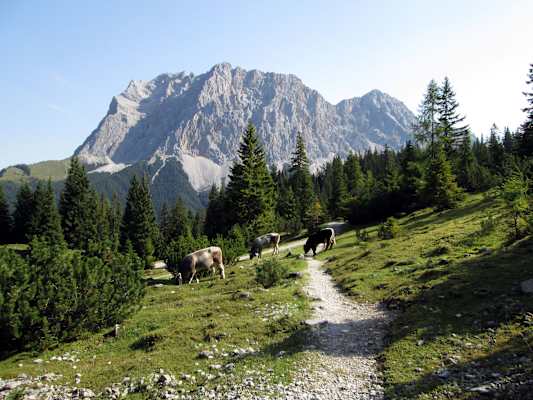 Klettern Coburger Hütte