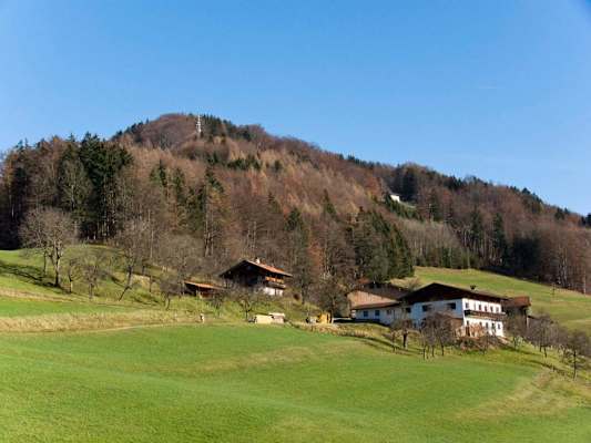 Dandlberg