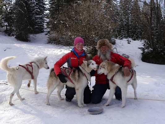 Huskys Tatra