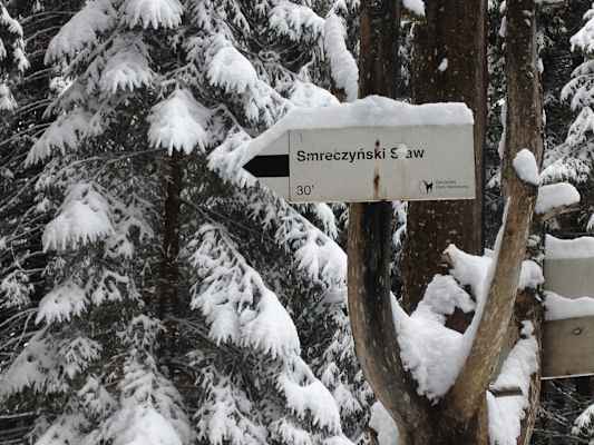 Zakopane Tatra Polen