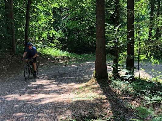 Gravelbiken Kärnten Wörthersee