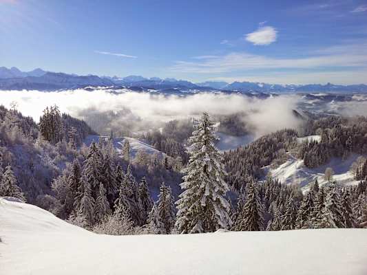 Schneetourenbus