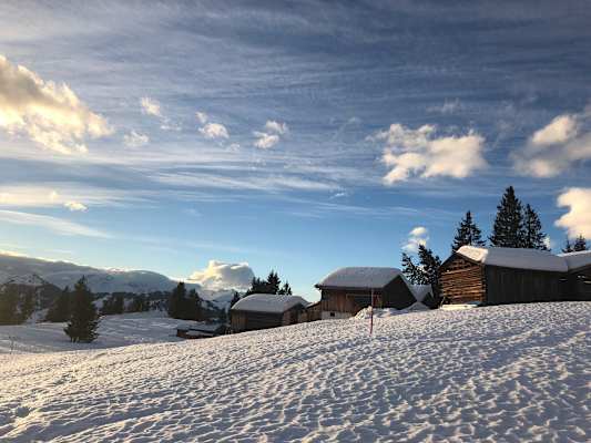 Schneetourenbus