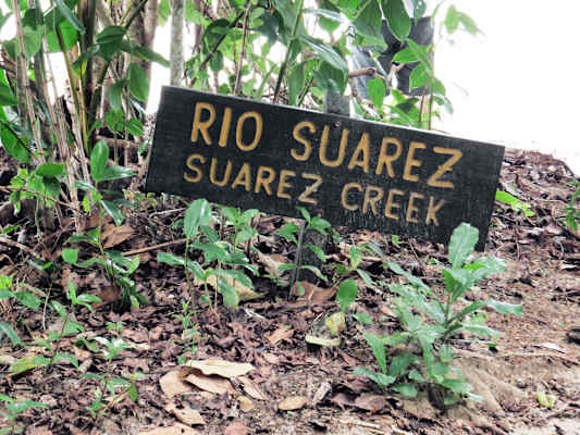 Nationalpark Cahuita Costa Rica