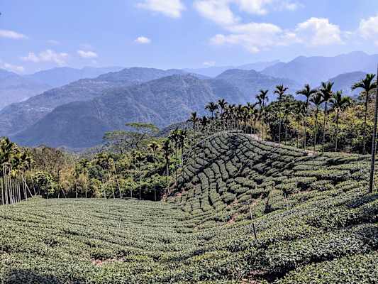 Taiwan Yushan Wandern