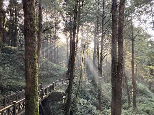 Taiwan Yushan Wandern