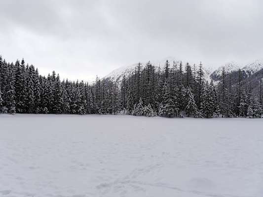 Zakopane Tatra Polen
