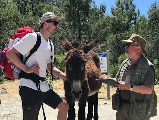 Wandern Mallorca