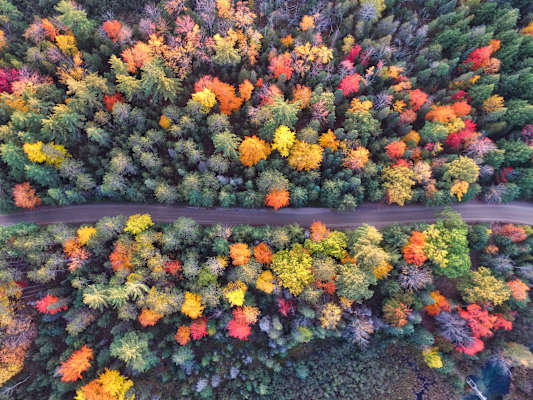 Indian Summer Michigan