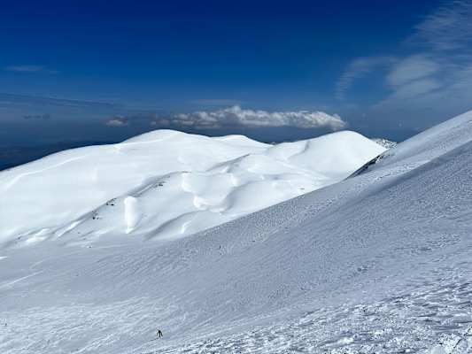Pierra Creta 2022