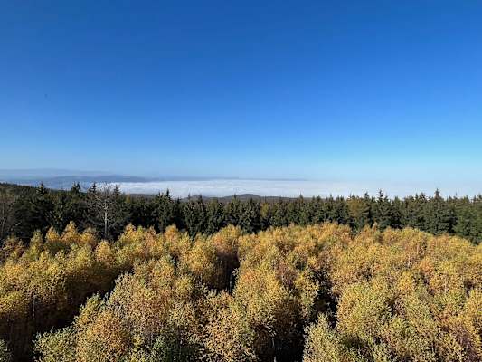 Burgenland-Trails
