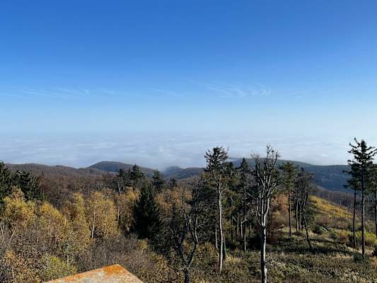 Burgenland-Trails