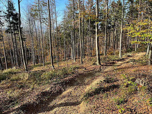 Hohlwege und Rinnen fordern immer wieder die Trail-Skills heraus