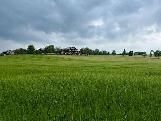 chiemsee0837.JPG