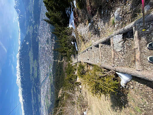 die_beruchtigen_walderbeisser_treppen.JPG