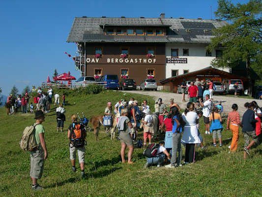 Das Hollhaus