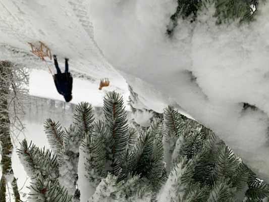 Winterwandern am Peilstein