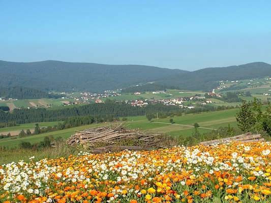 Kräutersteig bei Klaffer in Oberösterreich