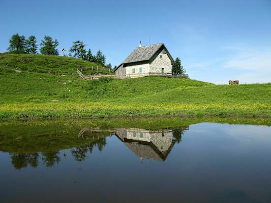 Kötschach-Alm